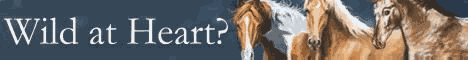 Visit Wild Heart Ranch